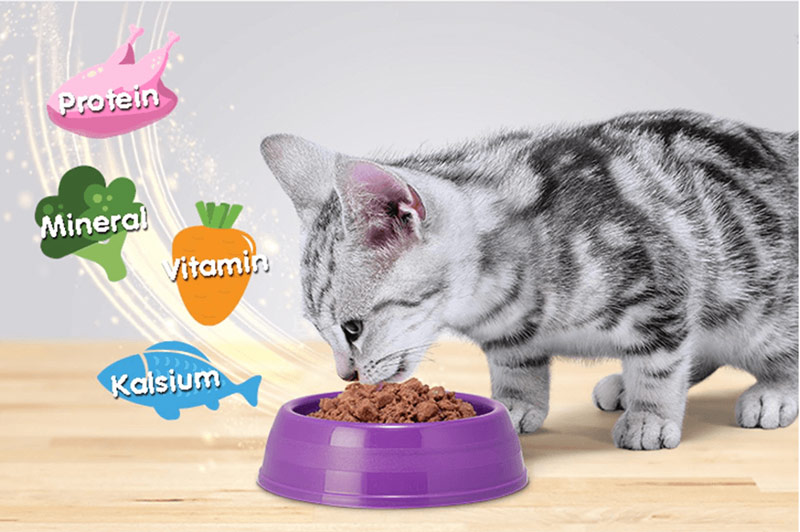 dinh dưỡng thức ăn hạt cho mèo