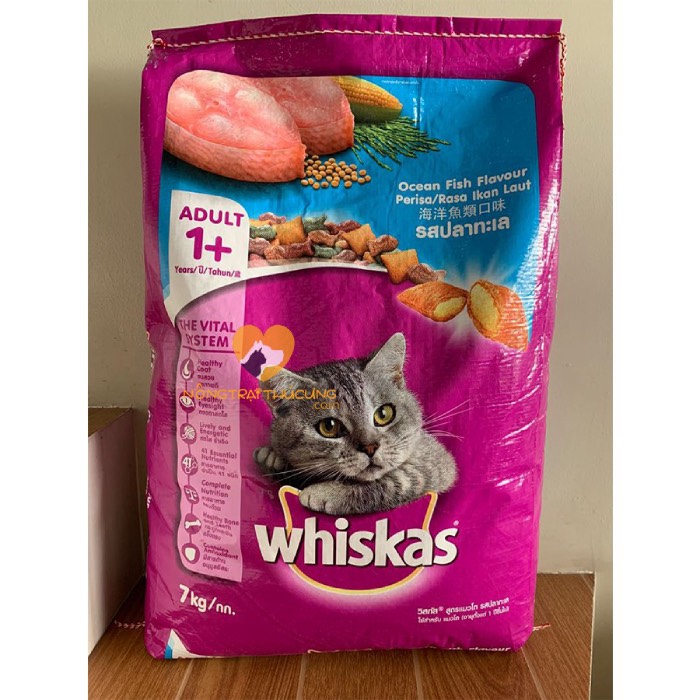 Thức ăn cho mèo 7kg được sản xuất theo quy trình, dây chuyền hiện đại. Tất cả nguyên liệu và hàm lượng dinh dưỡng có trong sản phẩm đều đã được nghiên cứu (Nguồn: Internet)