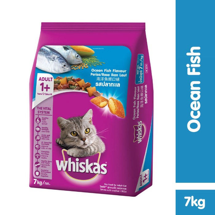 Qua bài viết này, Petnus sẽ giới thiệu tới mọi người thương hiệu thức ăn cho mèo 7kg whiskas (Nguồn: Internet)