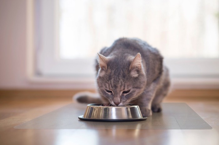 Nguyên liệu sử dụng để sản xuất thức ăn cho mèo whiskas 3kg hoàn toàn tự nhiên, không chứa phụ gia, chất độc hại (Nguồn: Internet)