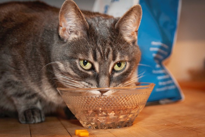 Thức ăn cho mèo me-o 7kg được làm chủ yếu từ ngũ cốc, đi ngược với tập tục ăn thịt của mèo, với 3 trong 5 thành phần chính là ngũ cốc (Nguồn: Internet)
