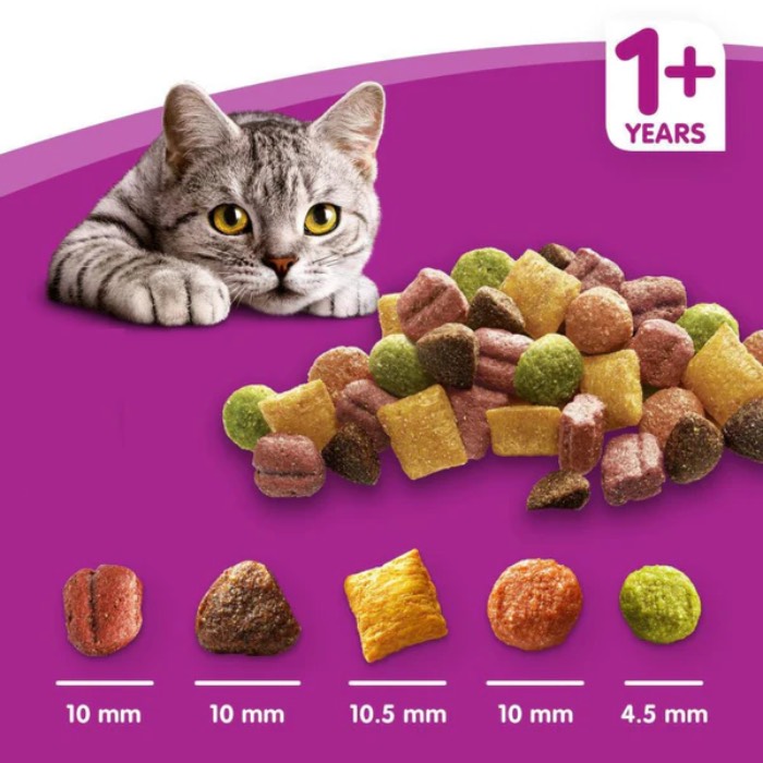 Bài viết này sẽ nói rõ hơn về thức ăn cho mèo trên 1 tuổi đến từ nhà Whiskas, cùng theo dõi để có thêm thật nhiều thông tin nhé! (Nguồn: Internet) 