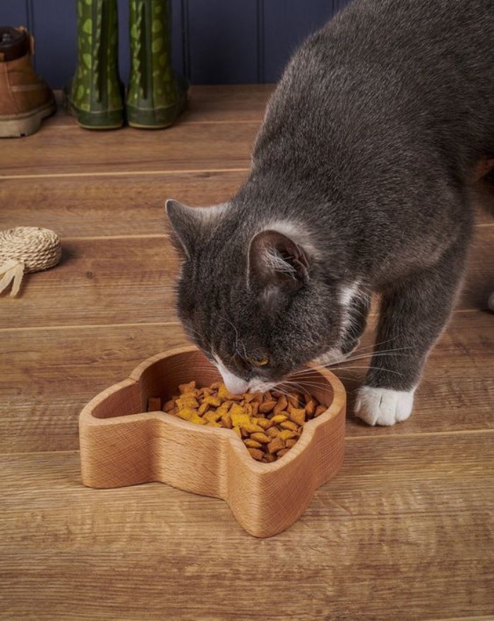 Vậy những loại thức ăn của mèo cảnh thích ăn nhất là gì? Những món nào cần nhất và phù hợp nhất cho hệ tiêu hoá của mèo (Nguồn: Internet)