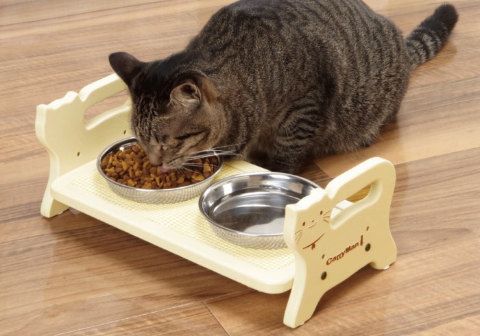 Thức ăn của mèo cảnh dạng hạt khô là món ăn không thể thiếu khi bạn nuôi hoàng thượng, đặc biệt là nhà thành phố (Nguồn: Internet)